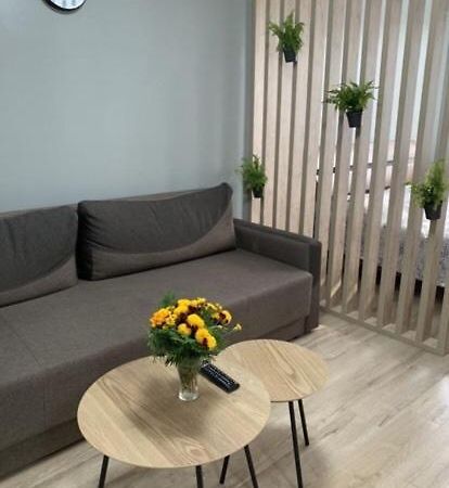 Babylon Apartments On Vidinska 41 Ривне Екстериор снимка